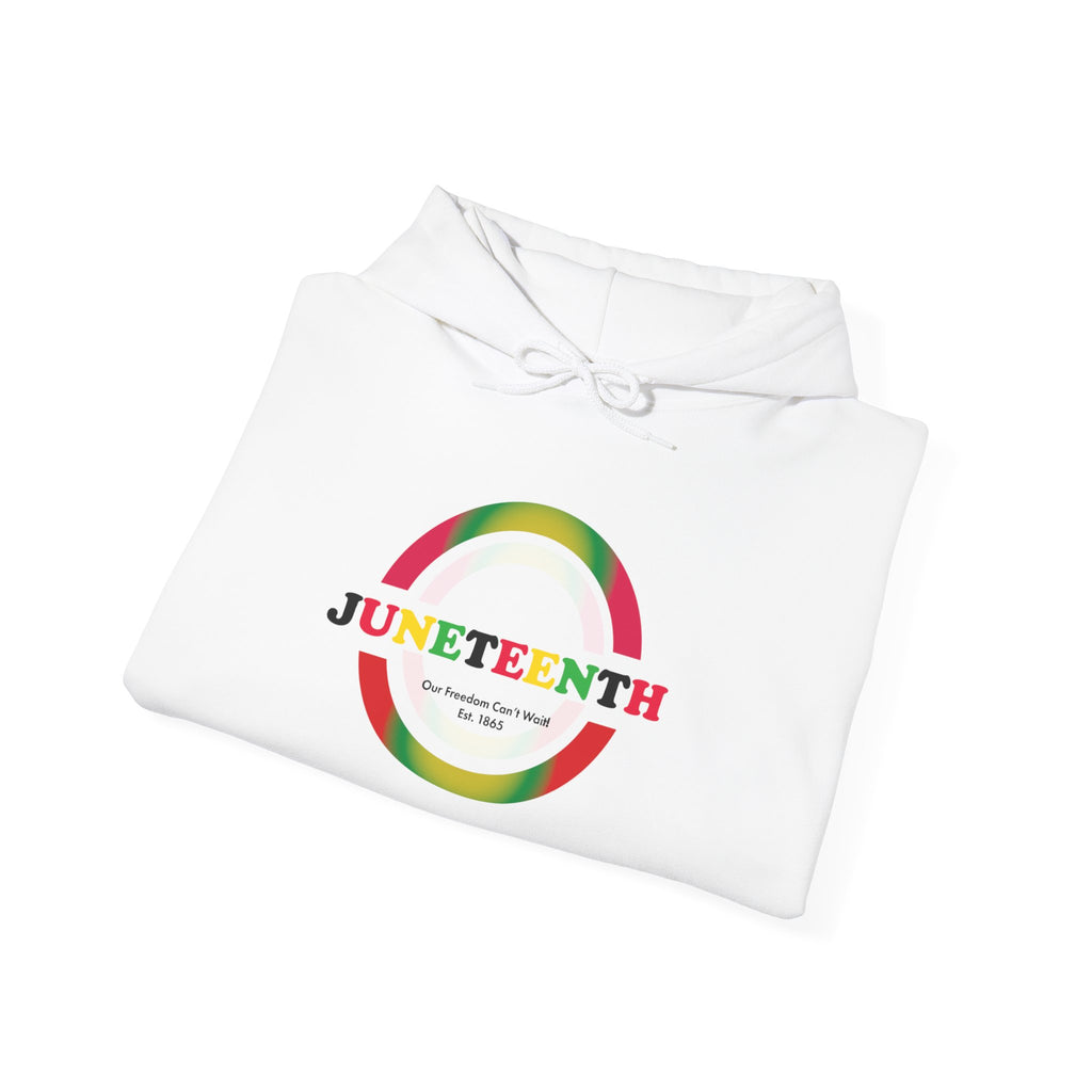 Juneteenth 1865 | Our Freedom Can't Wait Hoodie