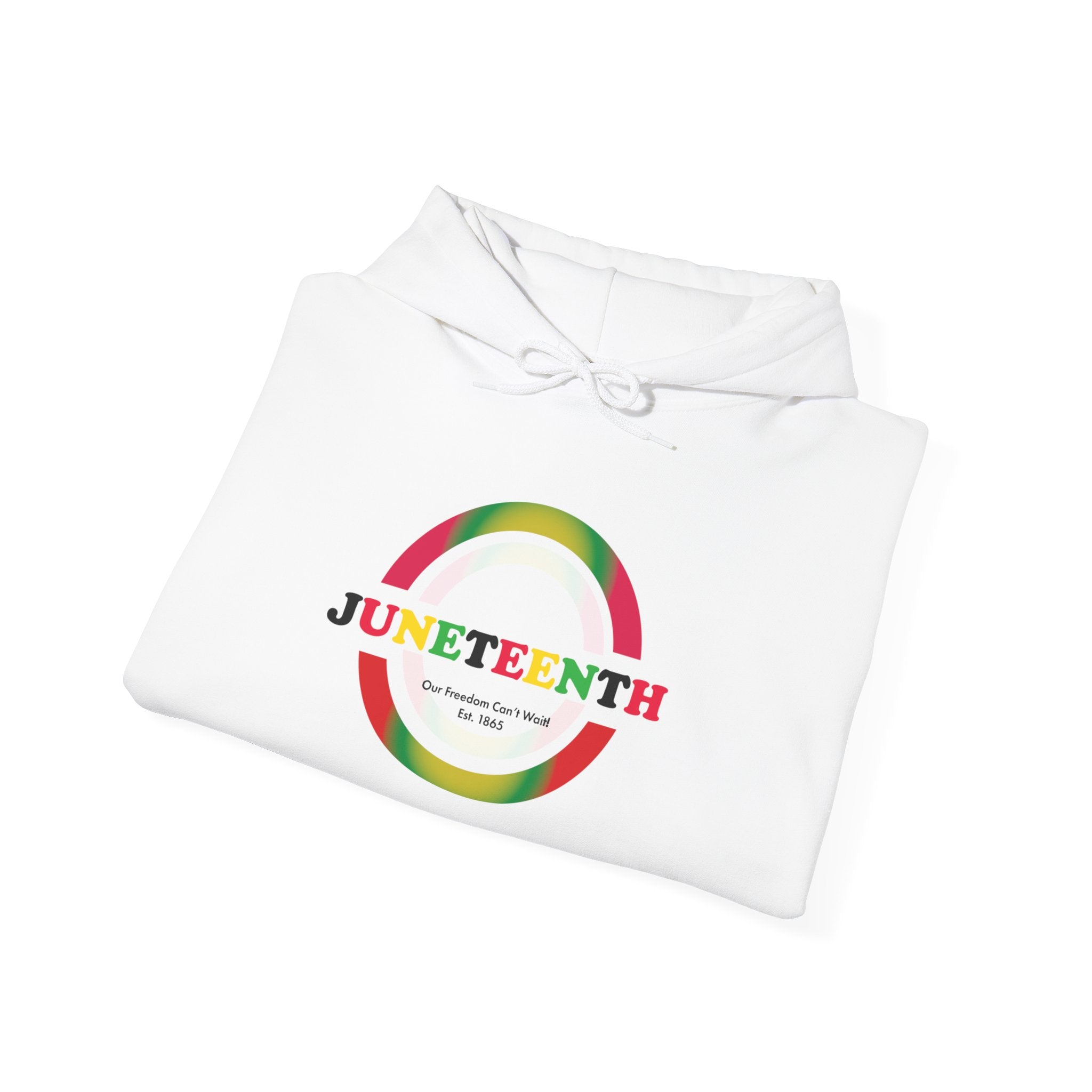 Juneteenth 1865 | Our Freedom Can't Wait Hoodie