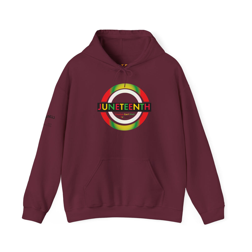 Juneteenth 1865 | Freedom Can't Wait Gradient Hoodie