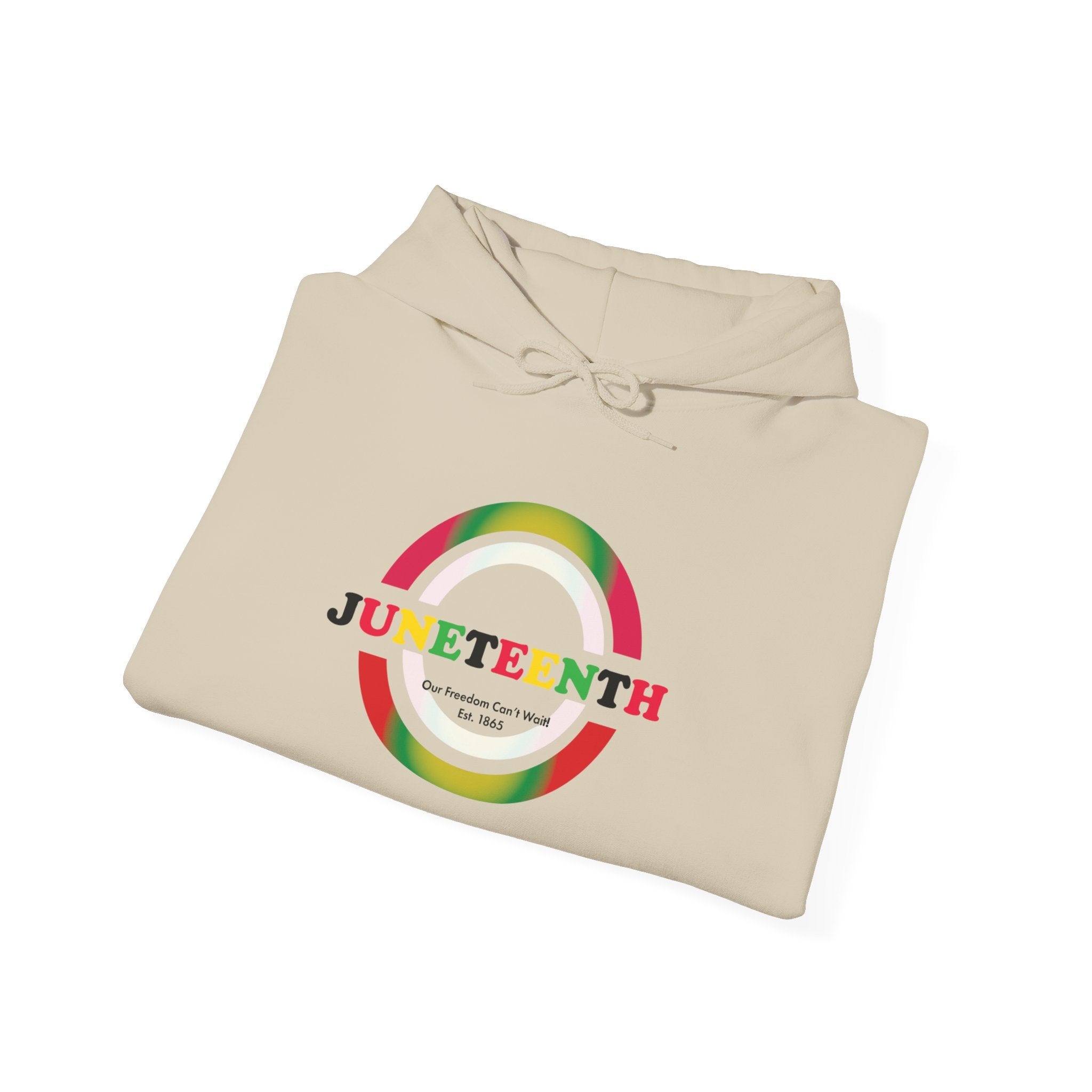 Juneteenth 1865 | Our Freedom Can't Wait Hoodie